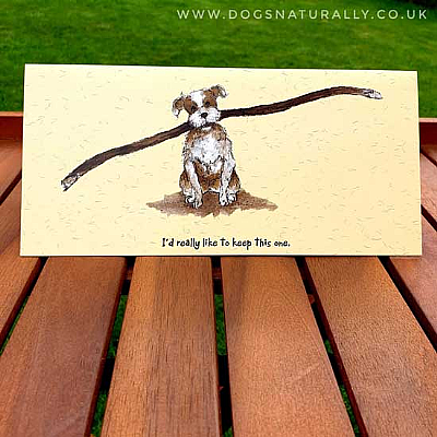 Big Stick Fun Dog Lover Greetings Card